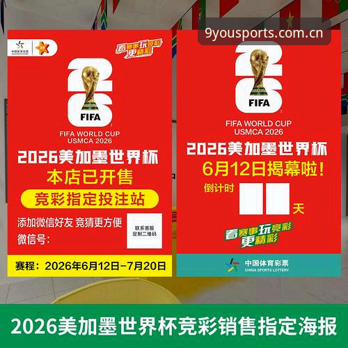 九游体育安装全攻略：从平台识别到新手实战的必备知识
