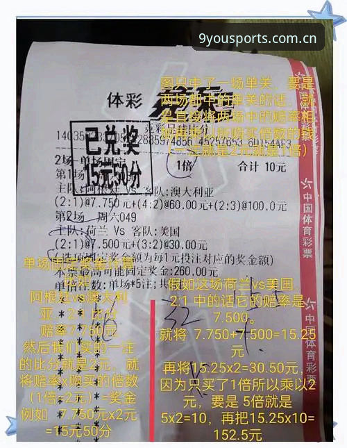 九游体育竞彩专区最新版深度评测：从数据洞察到实战体验的全方位解析
